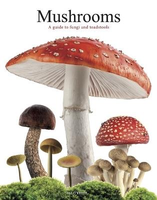 Mushrooms: A guide to fungi and toadstools - Liz O'Keefe - cover