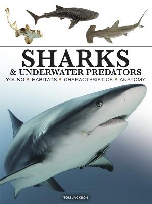 Sharks & Underwater Predators - Tom Jackson - cover