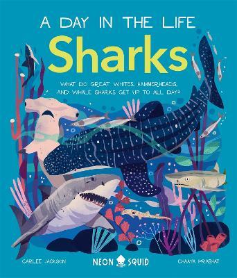 Sharks (A Day in the Life): What Do Great Whites, Hammerheads, and Whale Sharks Get Up To All Day? - Carlee Neon Squid,Jackson - cover