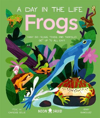 Frogs (A Day in the Life): What Do Frogs, Toads, and Tadpoles Get Up to All Day? - Itzue W. Caviedes-Solis,Neon Squid - cover