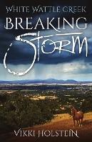 Breaking Storm - Vikki Holstein - cover