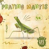 Praying Mantis - William Anthony - cover