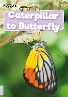 Caterpillar to Butterfly - William Anthony - cover