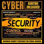 Cyber Auditing Unleashed