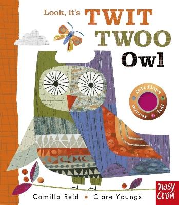 Look, It's Twit Twoo Owl - Camilla Reid - cover