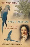Spix's Macaw: The Race to Save the World's Rarest Bird - Tony Juniper - cover