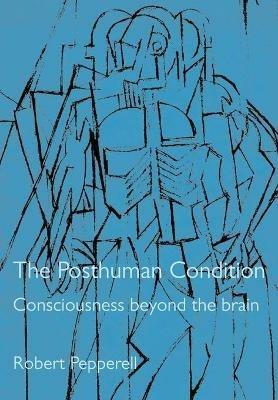 The Posthuman Condition: Consciousness Beyond the Brain - Robert Pepperell - cover