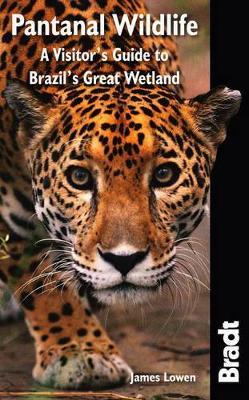 Pantanal Wildlife: A Visitor's Guide to Brazil's Great Wetland - James Lowen - cover