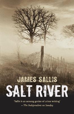 Salt River - James Sallis - cover