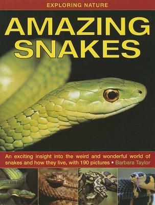 Exploring Nature: Amazing Snakes: an Exciting Insight into the Weird and Wonderful World of Snakes and How They Live, with 190 Pictures - Barbara Taylor - cover