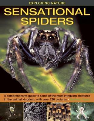 Exploring Nature: Sensational Spiders: A Comprehensive Guide to Some of the Most Intriguing Creatures in the Animal Kingdom, with Over 220 Pictures - Barbara Taylor - cover