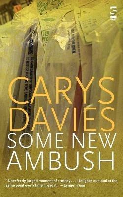 Some New Ambush - Carys Davies - cover