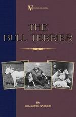 The Bull Terrier (A Vintage Dog Books Breed Classic)