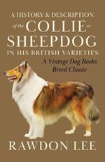 A History and Description of the Collie or Sheepdog in His British Varieties (A Vintage Dog Books Breed Classic)