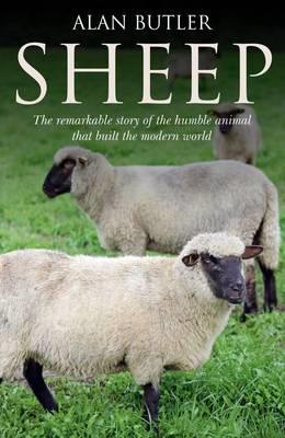 Ibs Sheep – The remarkable story of the humble animal that built the modern world