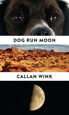 Dog Run Moon: Stories - Callan Wink - cover