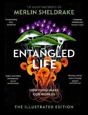 Entangled Life (The Illustrated Edition): A beautiful new gift edition featuring 100 illustrations for Christmas 2023 - Merlin Sheldrake - cover