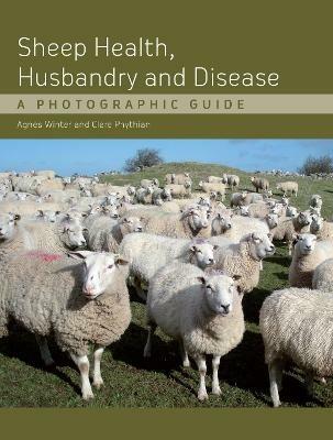 Sheep Health, Husbandry and Disease: A Photographic Guide - Agnes C Winter - cover