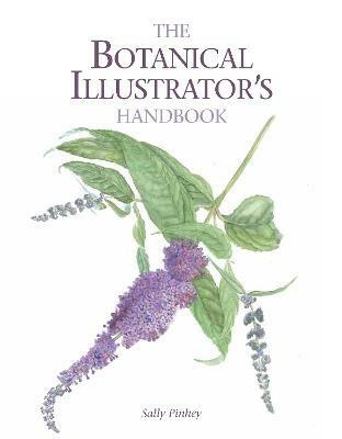The Botanical Illustrator's Handbook - Sally Pinhey - cover