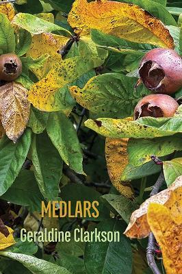 Medlars - Geraldine Clarkson - cover