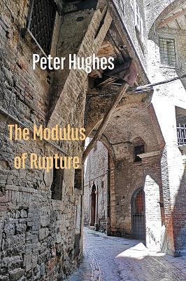 The Modulus of Rupture - Peter Hughes - cover