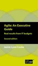 Agile: An Executive Guide