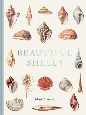 Beautiful Shells - Mark Carnall - cover