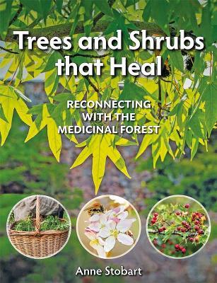 Trees and Shrubs that Heal: Reconnecting With The Medicinal Forest - Anne Stobart - cover