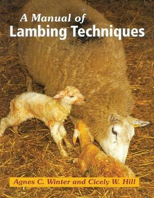 A Manual of Lambing Techniques - Cicely Hill,Agnes C Winter - cover