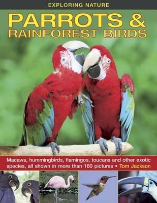 Exploring Nature: Parrots & Rainforest Birds - Tom Jackson - cover