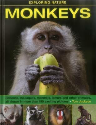 Exploring Nature: Monkeys - Jackson Tom - cover