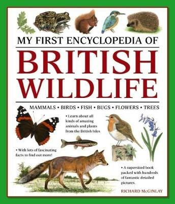 My First Encyclopedia of British Wildlife: Mammals, Birds, Fish, Bugs, Flowers, Trees - Richard McGinlay - cover