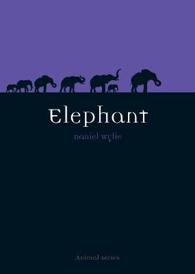 Elephant - Daniel Wylie - cover