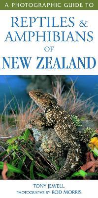 Photographic Guide To Reptiles & Amphibians Of New Zealand - T Jewell & R Morris - cover