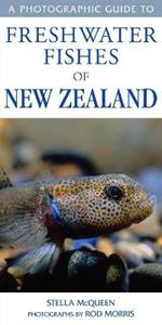 Photographic Guide To Freshwater Fishes Of New Zealand