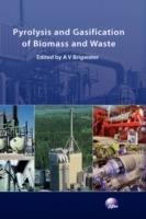 Pyrolysis and Gasification of Biomass and Waste