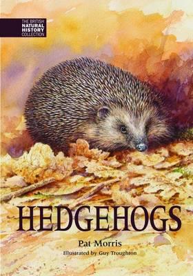 Hedgehogs - Pat Morris - cover