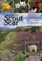 About Scout Scar: Looking into a Cumbrian Landscape