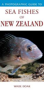 Photographic Guide To Sea Fishes Of New Zealand