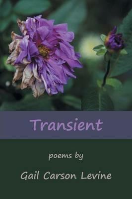Transient - Gail Carson Levine - cover