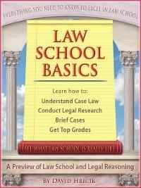 Law School Basics: A Preview of Law School and Legal Reasoning - David Hricik - cover