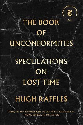 The Book Of Unconformities - Hugh Raffles - cover