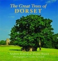 The Great Trees of Dorset - Andrew Pollard,Emma Brawn - cover