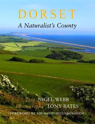 Dorset, a Naturalist's County - Nigel R. Webb,Tony Bates - cover