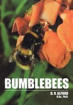 Bumble Bees