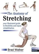 The Anatomy of Stretching: Your Illustrated Guide to Flexibility and Injury Rehabilitation