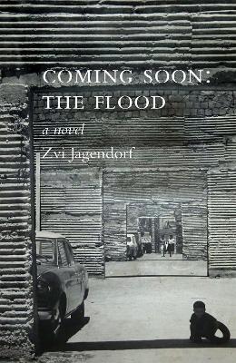 Coming Soon: The Flood - Zvi Jagendorf - cover
