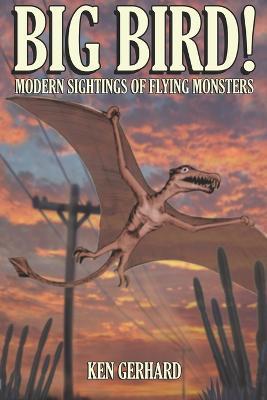 Big Bird!: Modern Sightings of Flying Monsters - Ken Gerhard - cover
