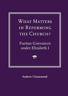 What Matters in Reforming the Church? Puritan Grievances Under Elizabeth I - Andrew Cinnamond - cover