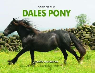 Spirit of the Dales Pony - Jackie Snowdon - cover